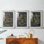Tableau botanique rétro I - impression encadrée sur mesure de qualité supérieure - 3 pièces-497843001-497843002