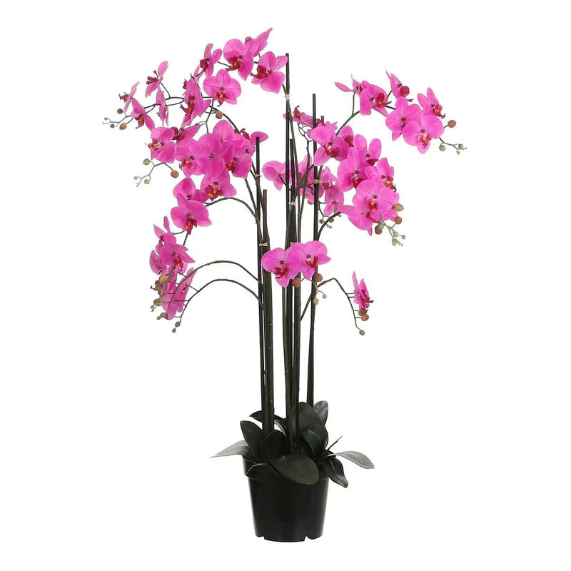 Orchid Arrangement in Pot, Pink