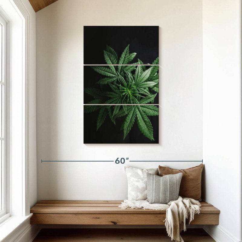 Feuilles de marihuana