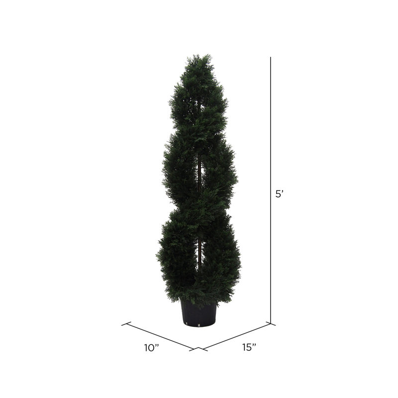 Boxwood Double Spiral Everyday Topiary, 60" H x 10" W x 15" D