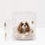 Medium Clear View Pet Crate with Silver Latch, Khaki Cushion-1329241321