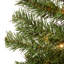 The Holiday Aisle® Montclair Spruce Entrance Tree with Clear Lights-597679817
