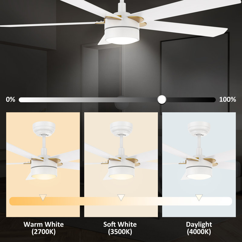 Amonni 52'' Ceiling Fan with LED Lights, White