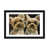 Black Framed Fine Art Paper is unavailable