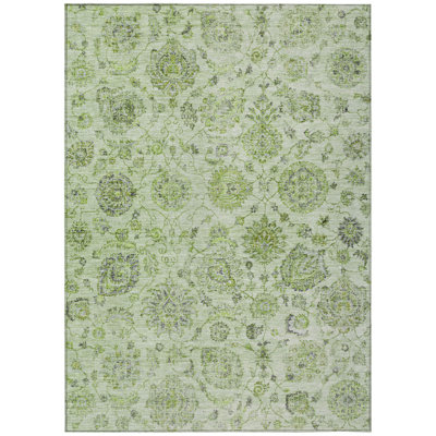 Machine Washable Indoor/Outdoor Xhevrie Aloe Rug
