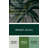 Lyrical Abstraction 34 Green Canvas Wall Art