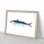 Mackerel Fish by Edward Donovan - Picture Frame Painting Print-55577216-55577213