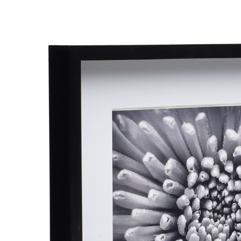 Bold Gallery W/Mat MDF Multi-Size Photo Frame, Black, 8" x 10", 16" x 20"