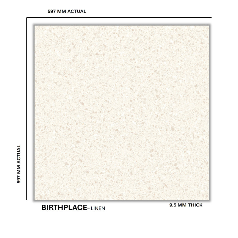 Birthplace 24" x 24" Porcelain Terrazzo Look Wall & Floor Tile, Linen