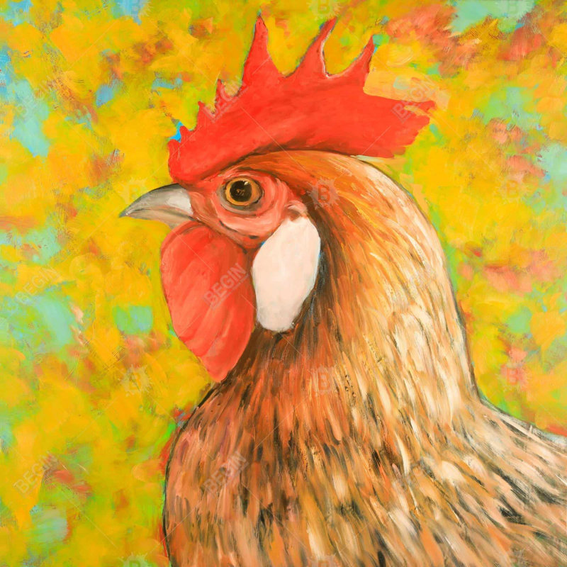 "Poulet coloré"