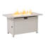 Foyer de table en aluminium 50 000 BTU