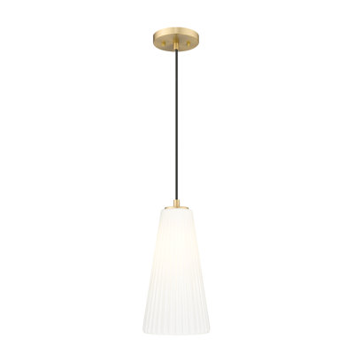Luminaire suspendu moderne 1 lumière Tomy