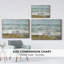 BEACHCOMBING-93392218-93392213