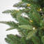 The Holiday Aisle® 6 ft. Pre-Lit Whatcom Pine Tree with LED Lights