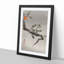 Monkey Upon an Orange Tree by Ohara Koson - Picture Frame Painting Print-55610218-55610219