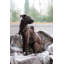 Couverture en laine lavable Chalet-1300543509-1294859345