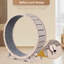 Roue d'exercice pour chats
