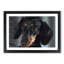 Portrait of a Dachshund Dog in Abstract - Picture Frame Painting Print-55767289-55767288