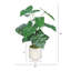 30 po Alocasia artificiel avec pot blanc (ensemble de 2)