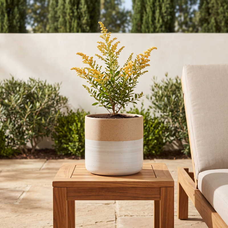Hico Ceramic Pot Planter