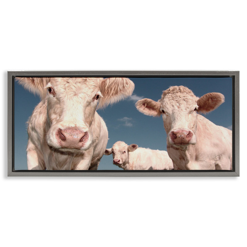 Trois vaches, Cadre flottant gris lustré, H 11 po x l 25 po