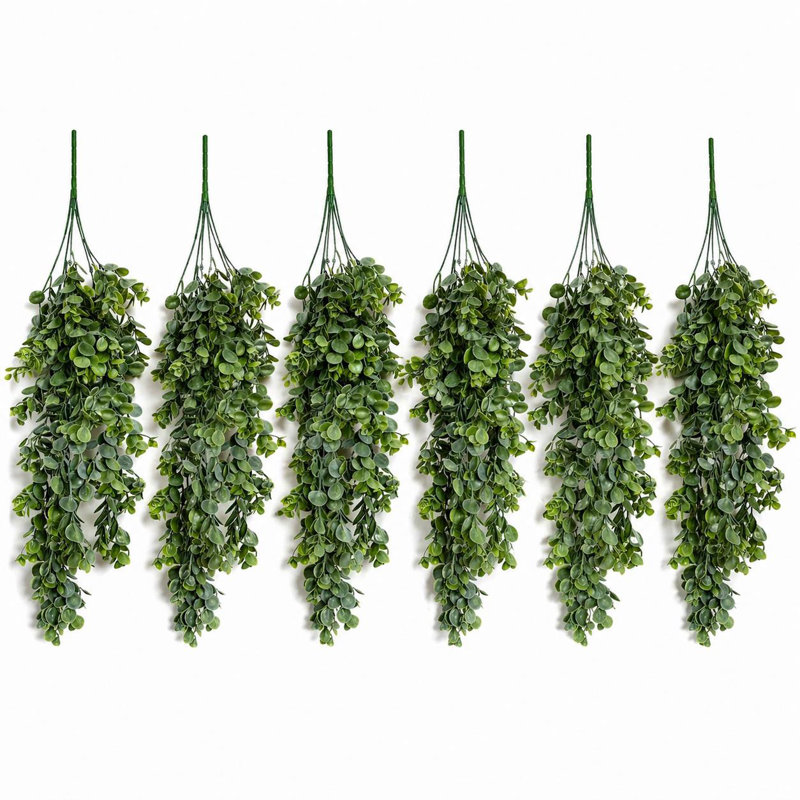 75 Plant, 6