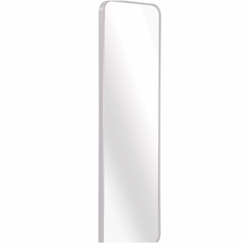 47 x 14IN Door mirror.(W2203P182160), Silver