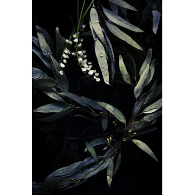 Flowers Floating In A Dark Well Or Pond by Diane Labombarbe - Print