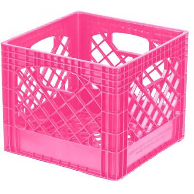 Rebrilliant Plastic Crate & Reviews | Wayfair