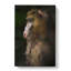 Mandrill Monkey In Abstract - Wrapped Canvas-55309352
