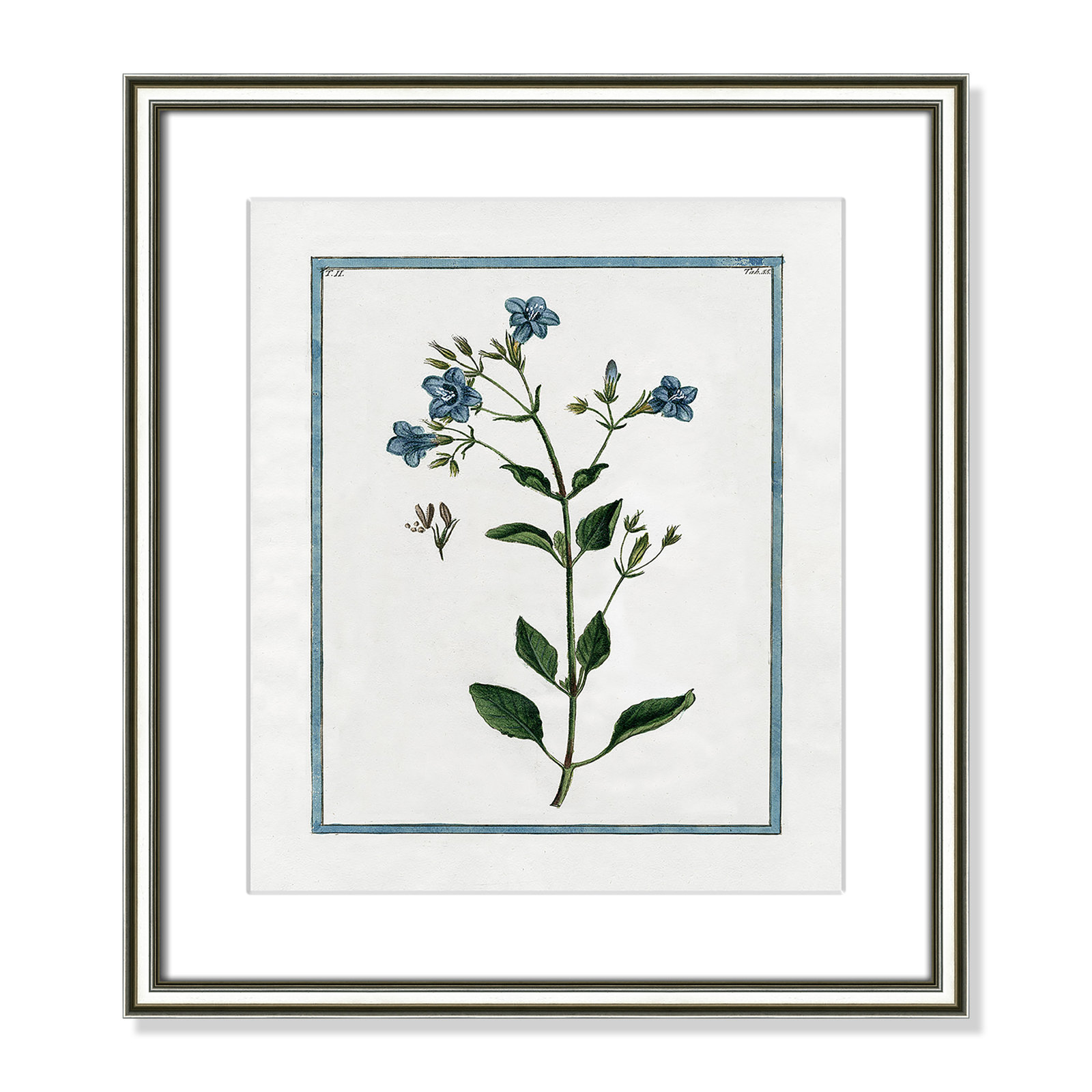 Colombe "Shabby Elegance Botanical II" Print, 14.25" W x 16.25" H, Silver Framed