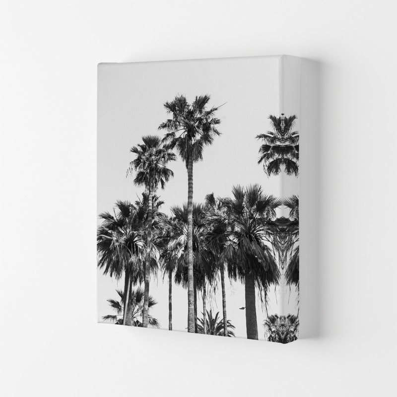 Sabal Palmetto II Palm Trees by Victoria Frost - Print, 42cm H x 29.7cm W x 4cm D, Wrapped Canvas