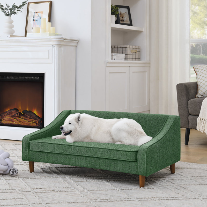 Canapé-lit surélevé pour chien avec accoudoirs irréguliers pour animaux de compagnie, Vert