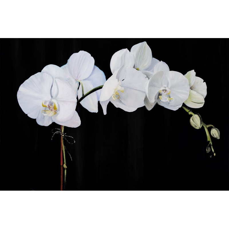 Dramatic Orchids II - Photograph, 81 cm H x 122 cm W, Wrapped Canvas