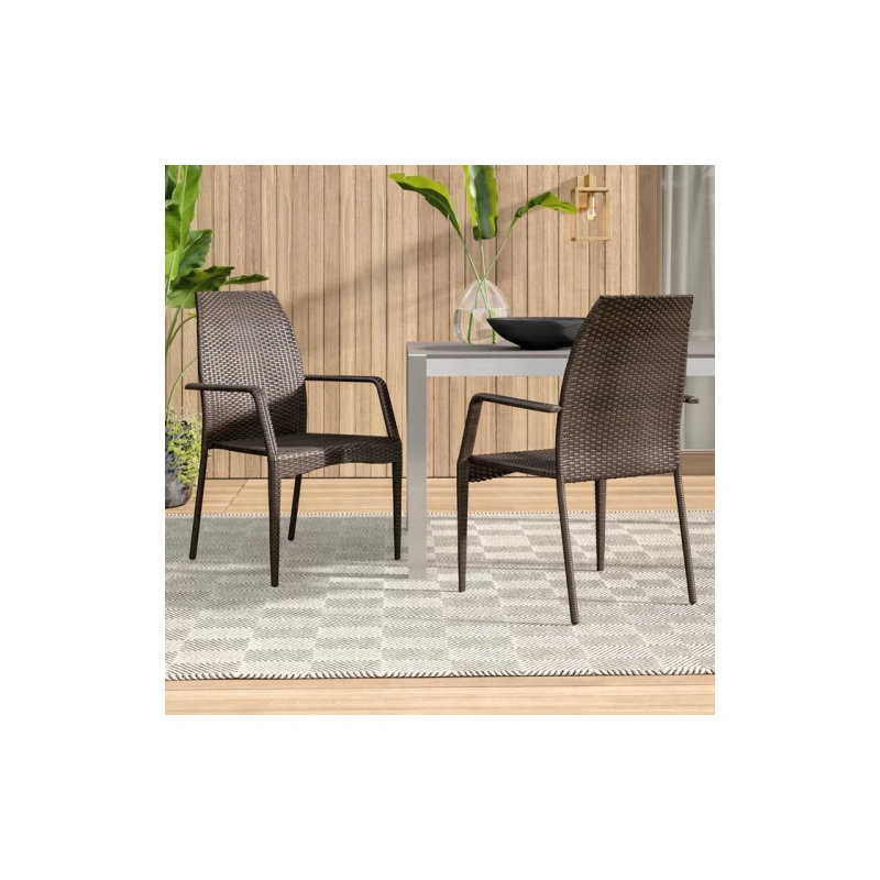 Brown Resin Wicker Outdoor Chairs Set of 2 - Weather Resistant Patio Seating with Iron Frame for Garden, Deck & Poolside
