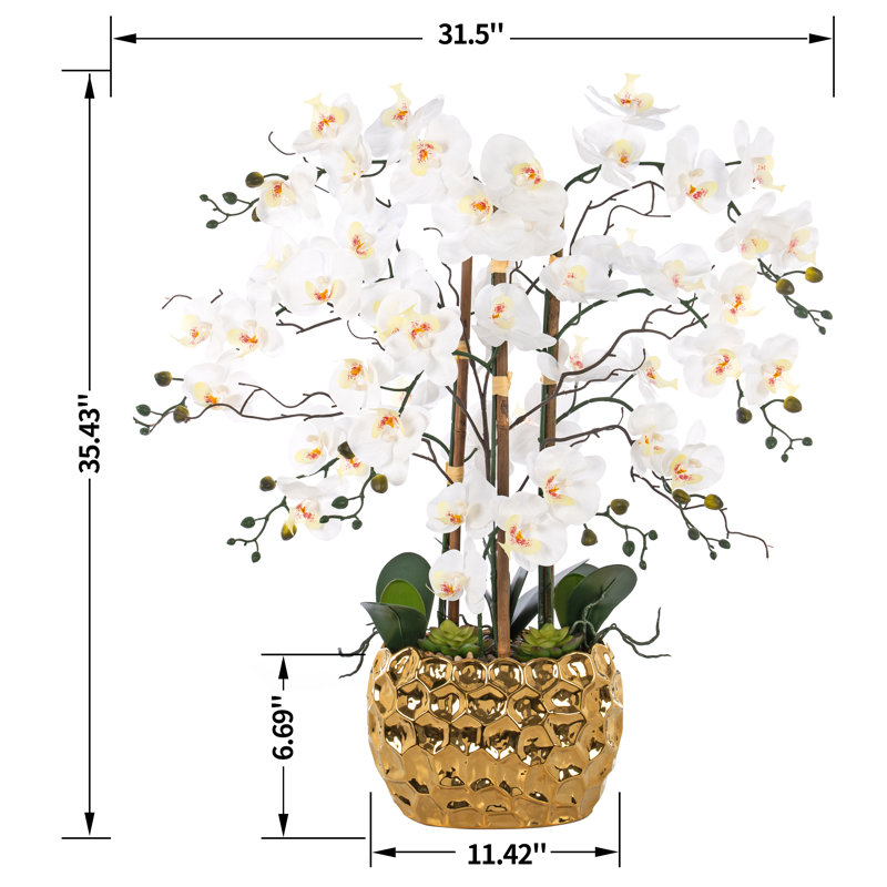 Arrangement floral orchidée phalaenopsis