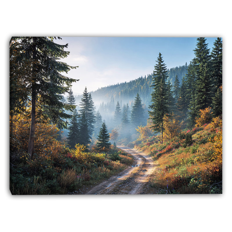 Art mural sur toile Serene Mountain Trail, H 24 po x l 36 po