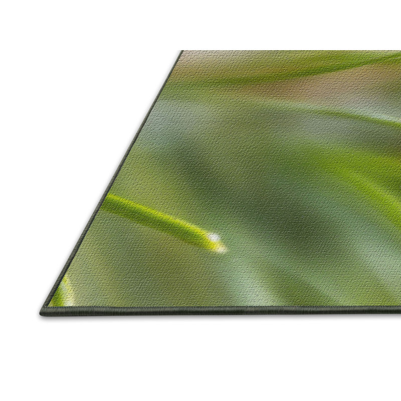 Tapis de surface verte aiguilles, Rectangle 2 pi x 3 pi