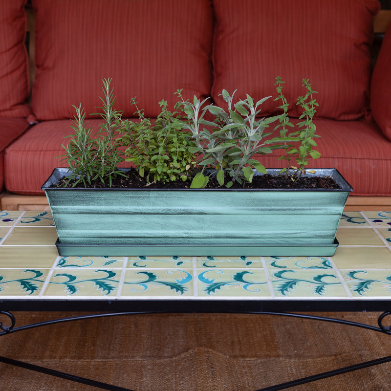 Boîte à fleurs en métal, Vert, H 5 po x l 22 po x P 6 po