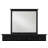 Mowgli Solid Wood Rectangle Wall Mirror-1302127934