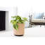 Byer Handmade Ceramic Pot Planter-1215985661