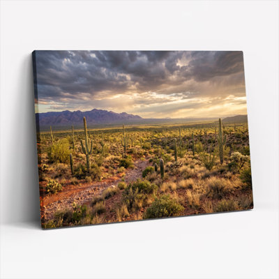 Ensemble de 1 tableau sur toile représentant un paysage désertique