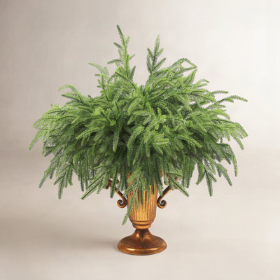 36" Norfolk Pine Branch