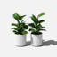 Pot à fleurs rond Demi Series-83894853-83894856-97676810
