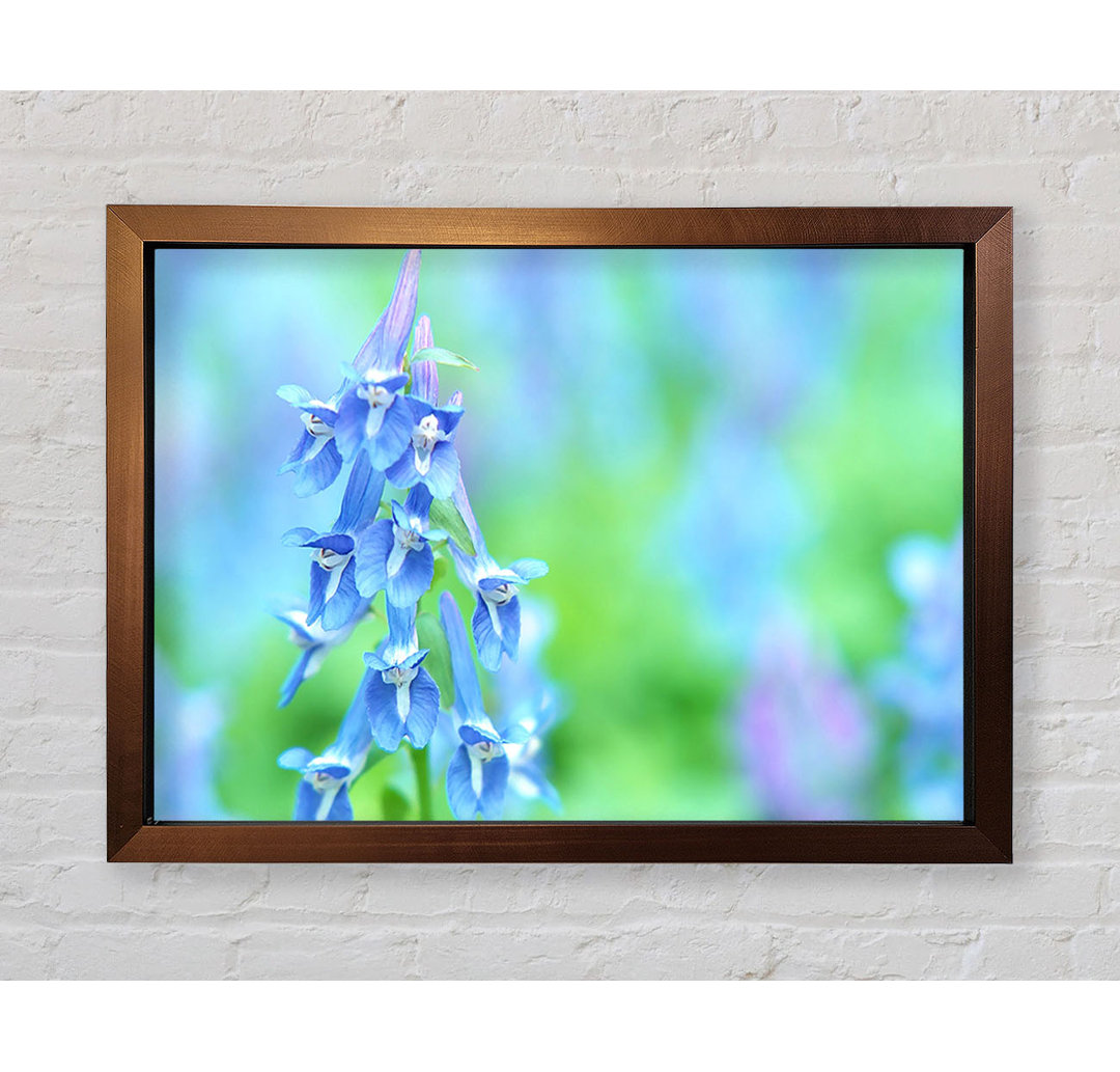 Soft Focus Kleine blaue Blumen - Druck