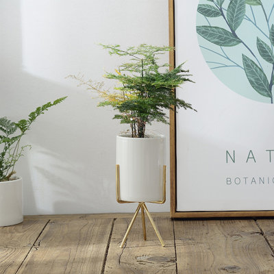 Abdulbaki Ceramic Cylindrical Free Standing Planter with Metal Stand