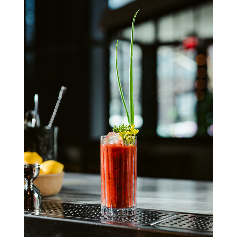 Tryst Highball Glass