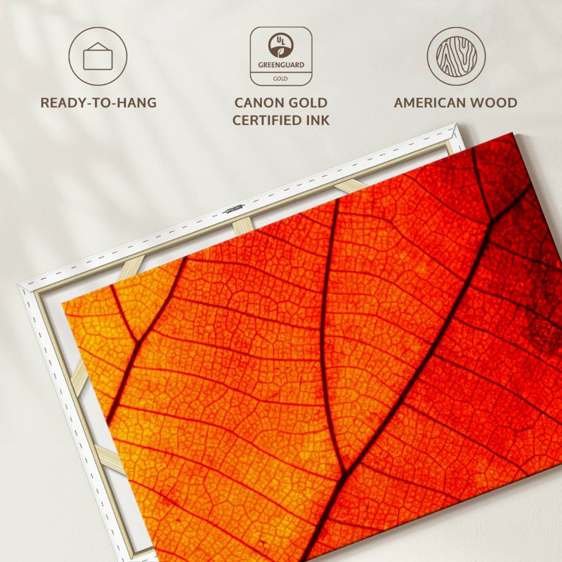 Harnek Autumn Leaf Venation