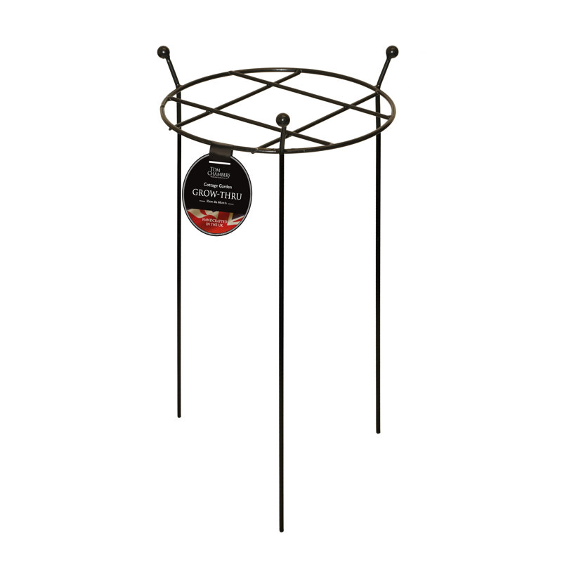 Caziyah Metal Plant Support