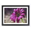 Purple Daisy - Framed Print-56758394-56758397